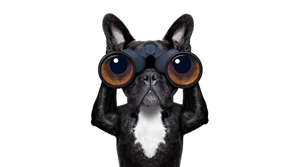 iStock 488938489