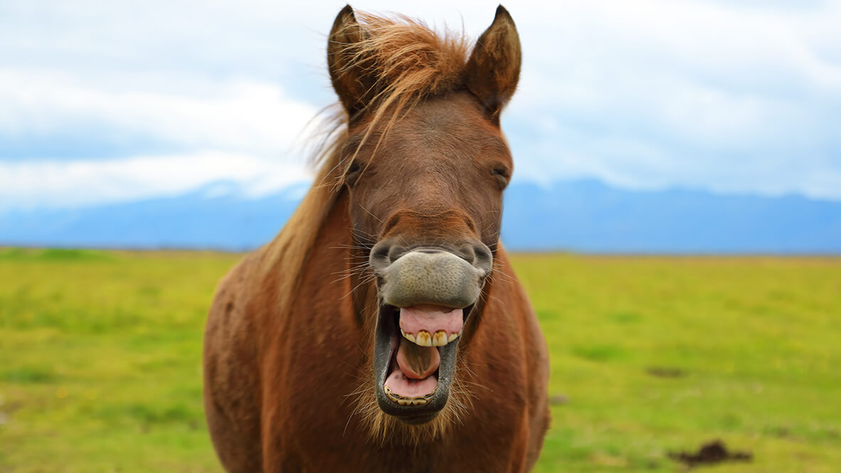 iStock 859227074