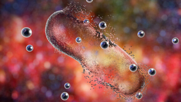 Destruction,Of,A,Bacterium,By,Silver,Nanoparticles.,An,Illustration,Can