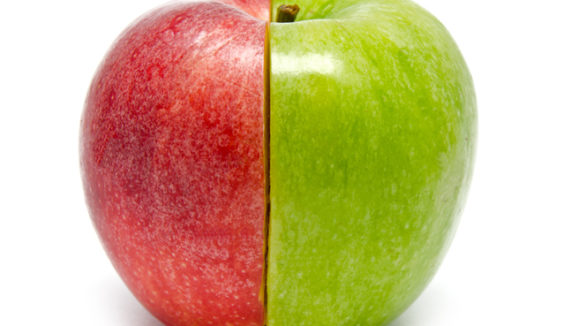 The creative apple combined from two half
