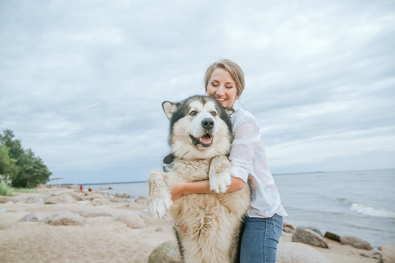 woman hugging her siberian husky 3671246