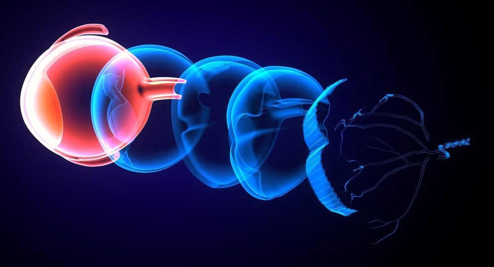 3d,Illustration,Of,Human,Eye,And,Its,Parts.,Fully,Detailed