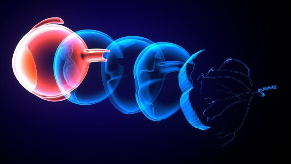 3d,Illustration,Of,Human,Eye,And,Its,Parts.,Fully,Detailed