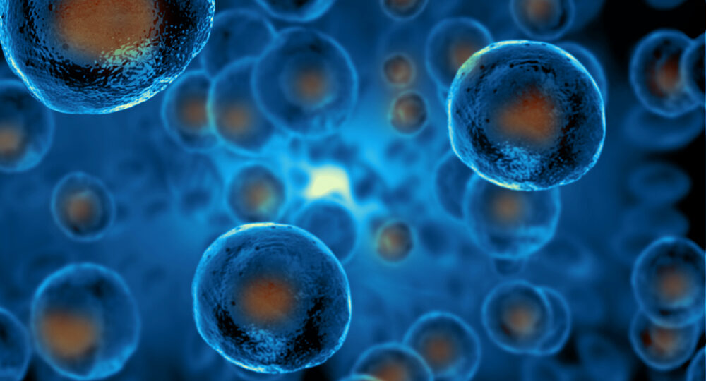 Embryonic,Stem,Cells,,,Cellular,Therapy,,,Regeneration,,,Disease