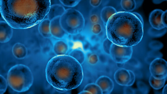 Embryonic,Stem,Cells,,,Cellular,Therapy,,,Regeneration,,,Disease