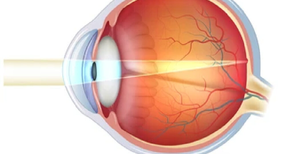 Shutterstock_176679818