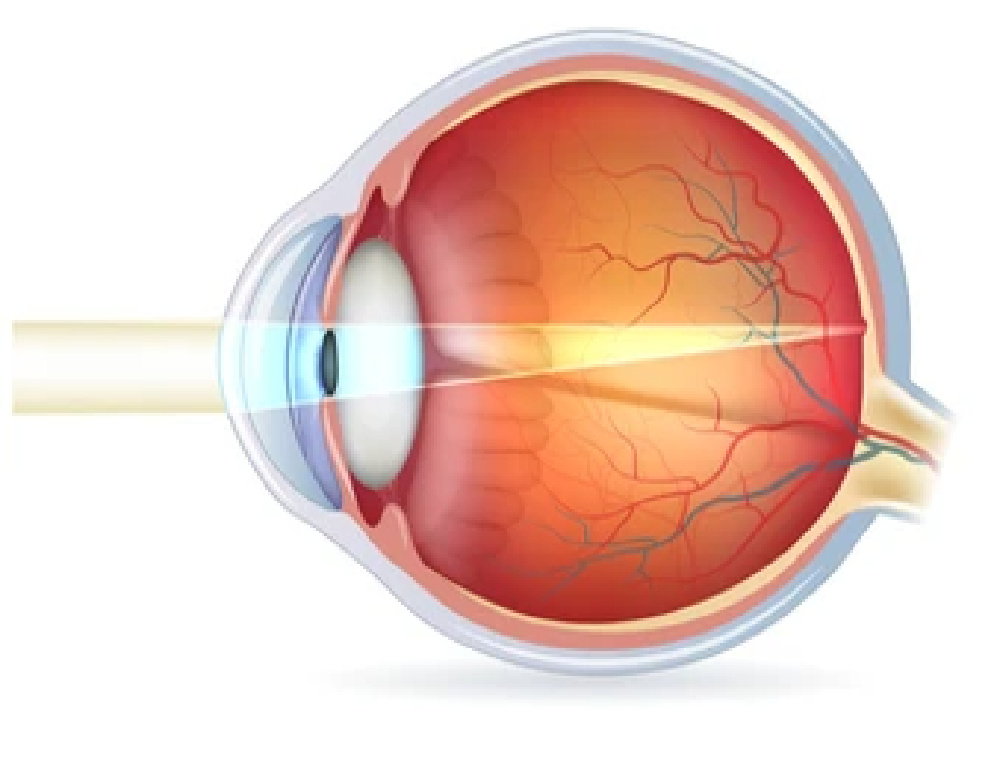 Shutterstock_176679818