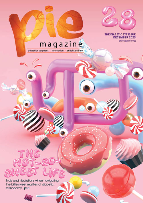 PIE 28_V1_COVER_500