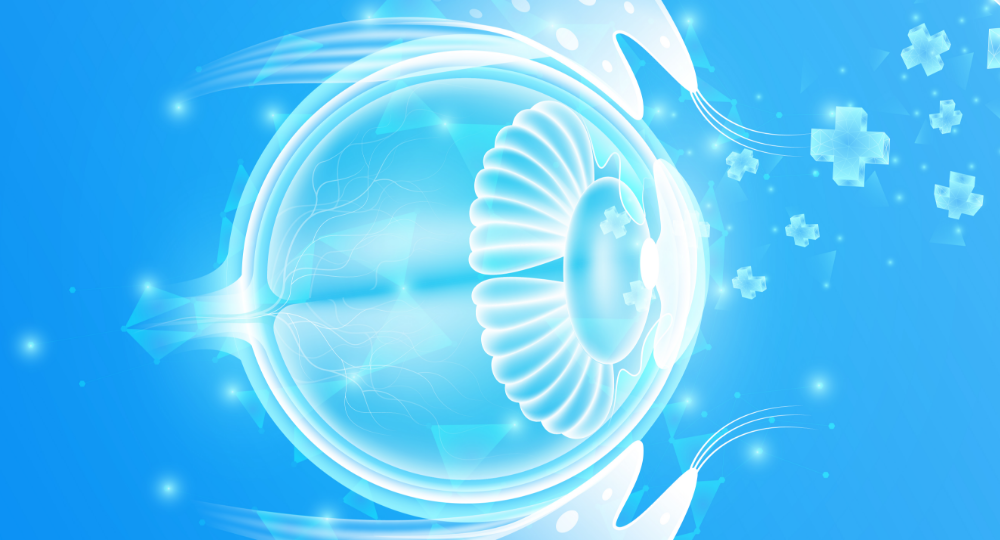 shutterstock_2328369243 [Converted] 01