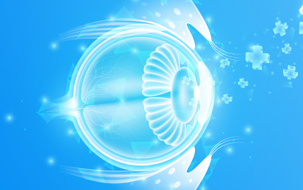 shutterstock_2328369243 [Converted] 01