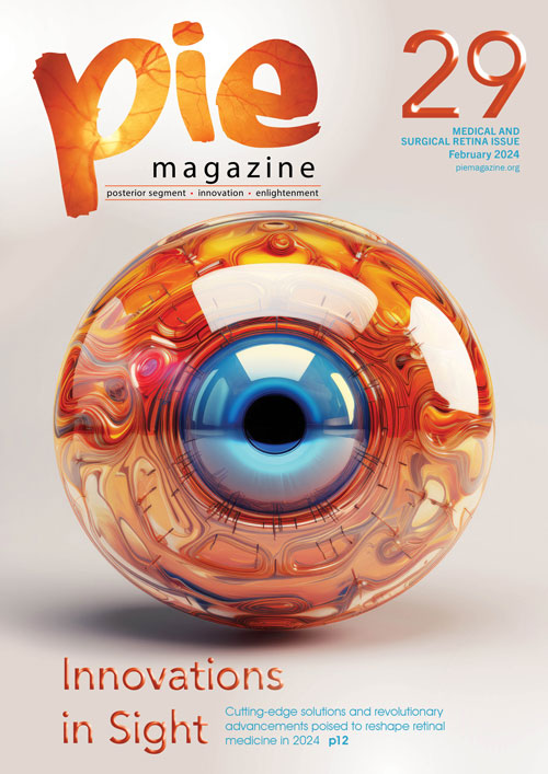 PIE 29_V3_COVER_500