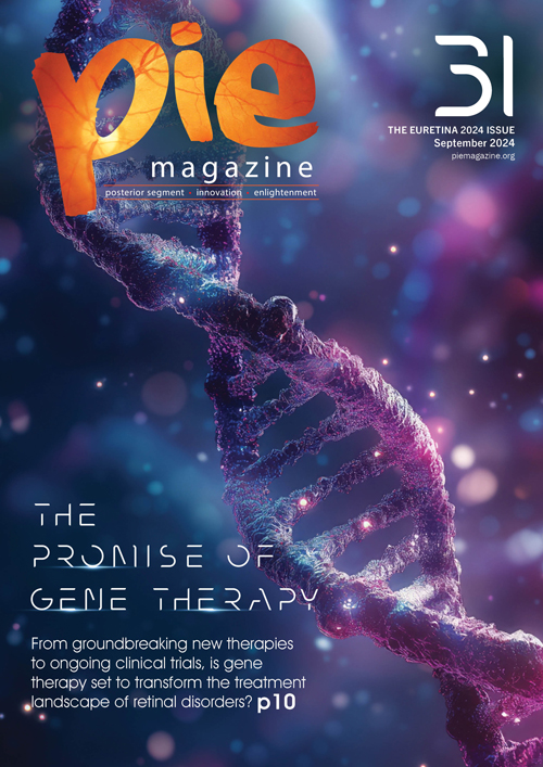 PIE 31_V2_COVER_500