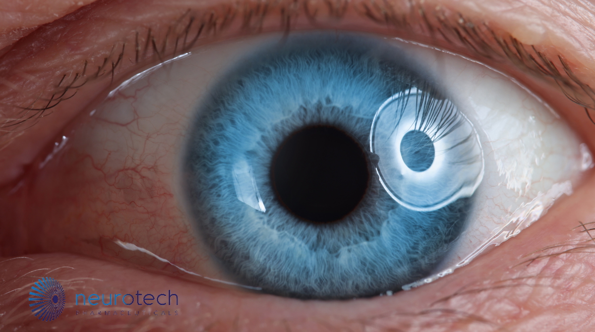 Website thumbnail   2