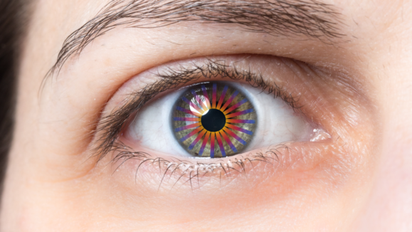 [Internal] Sling Therapeutics Phase 2b3 Thyroid eye disease