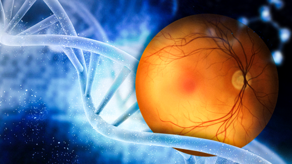 Thumbnail article _ 1200x675_One Day, Three IRD Gene Therapy Triumphs