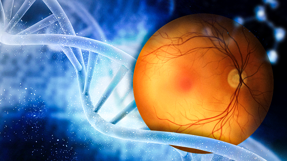 Thumbnail article _ 1200x675_One Day, Three IRD Gene Therapy Triumphs